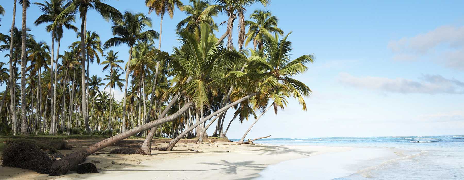Langue parlé en Republique Dominicaine Live Love Voyage