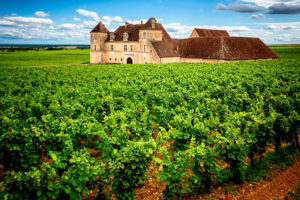 Route des Grands Crus - Vin, château, vignoble, dégustation du vin et Établissement vinicole