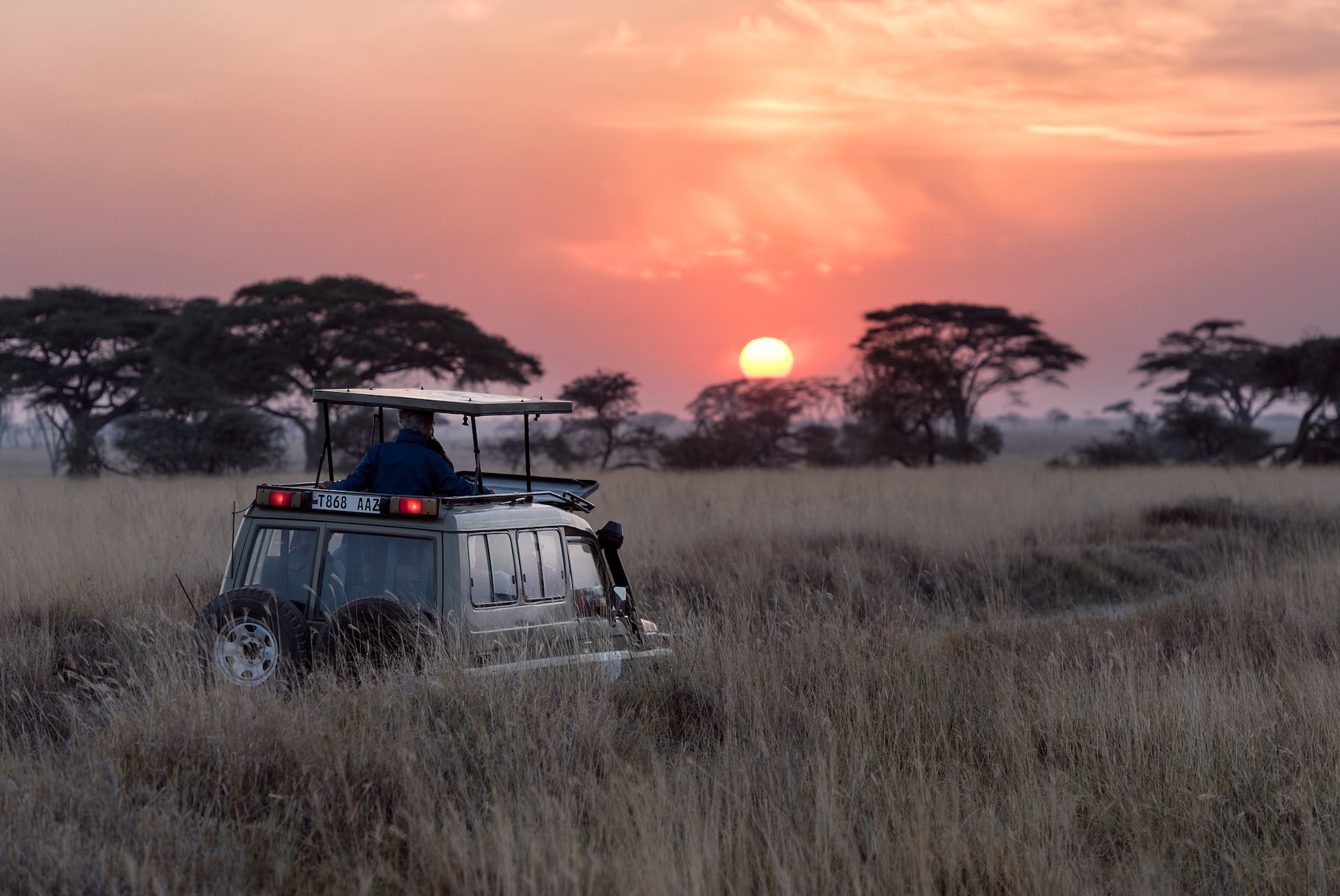 safari Botswana Coucher du soleil